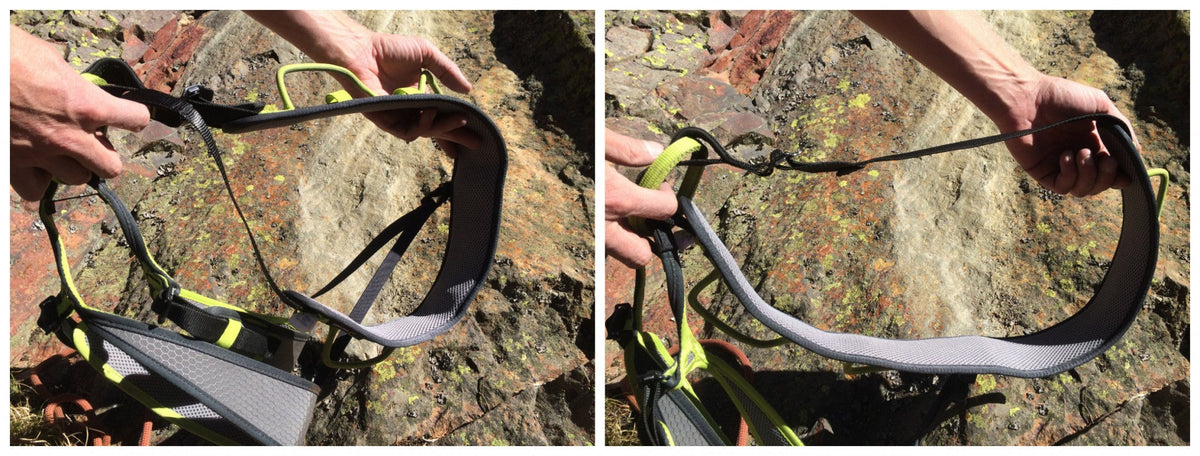Edelrid Zack Gym Climbing Sit Harness - Shop Climbing Harnesses at Trekaline