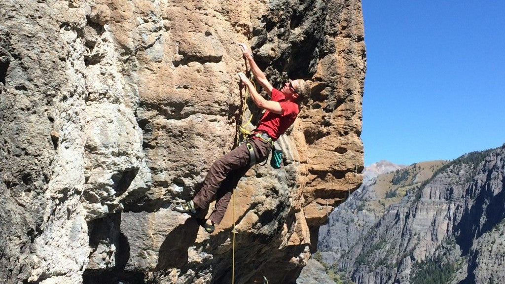 Edelrid Zack Gym Climbing Sit Harness - Shop Climbing Harnesses at Trekaline
