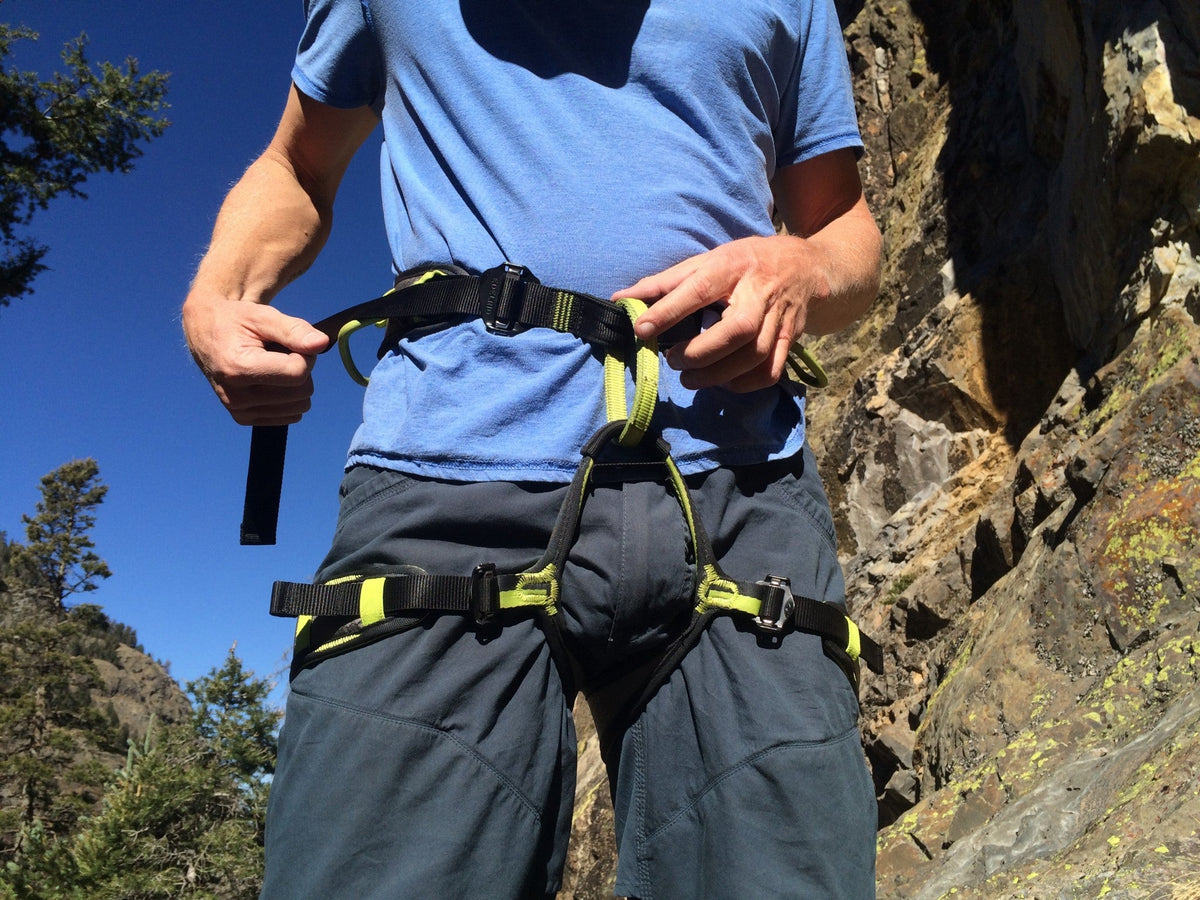 Edelrid Zack Gym Climbing Sit Harness - Shop Climbing Harnesses at Trekaline