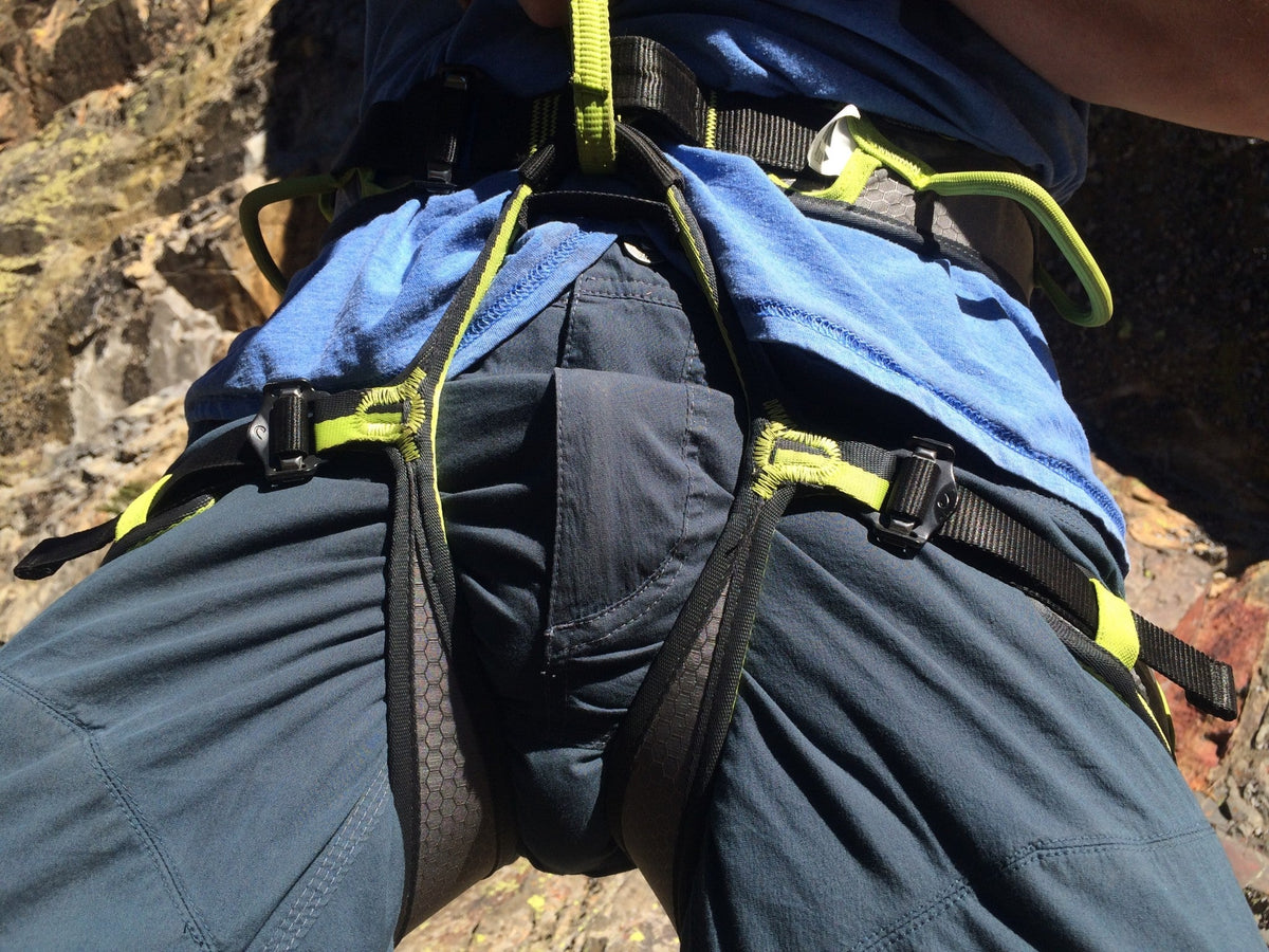 Edelrid Zack Gym Climbing Sit Harness - Shop Climbing Harnesses at Trekaline