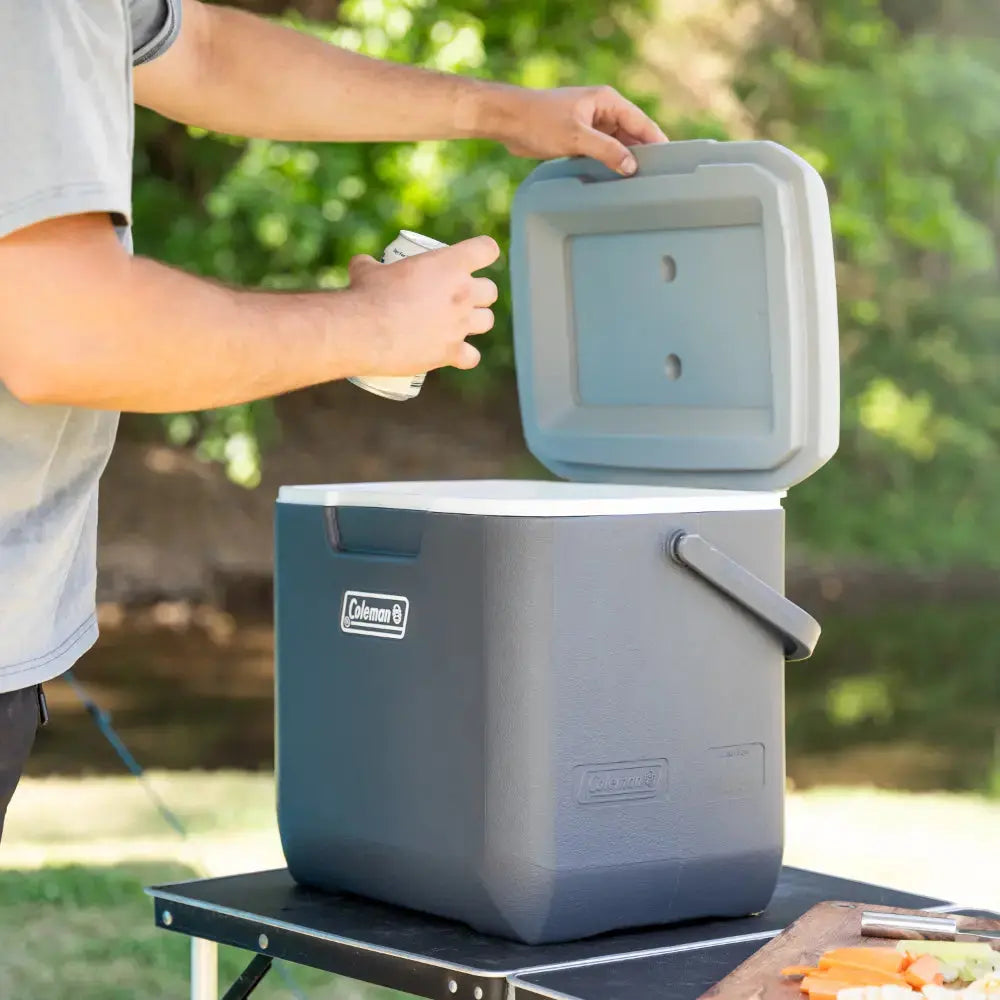 Coleman Daintree 28L Personal Hard Cooler - Shop  Hard-sided Coolers at  Trekaline