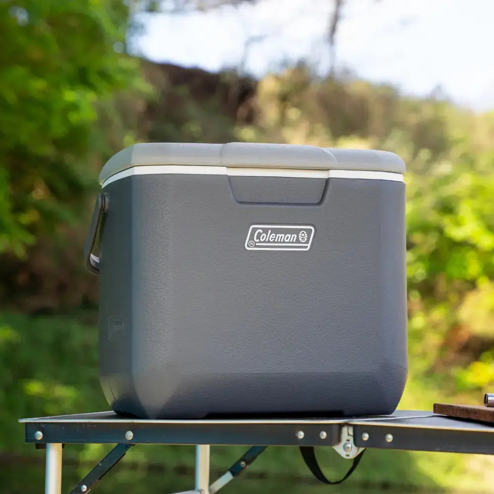 Coleman Daintree 28L Personal Hard Cooler - Shop  Hard-sided Coolers at  Trekaline