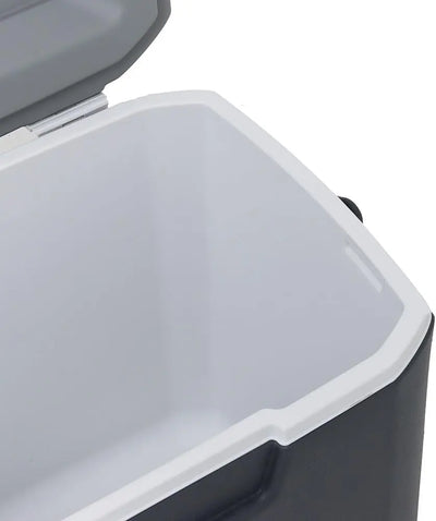 Coleman Daintree 28L Personal Hard Cooler - Shop  Hard-sided Coolers at  Trekaline