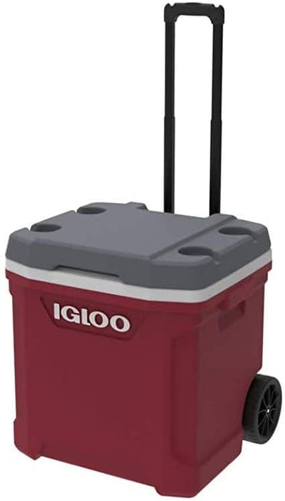 Igloo Latitude Roller Cooler 30 Quart - Shop  Hard-sided Coolers at  Trekaline