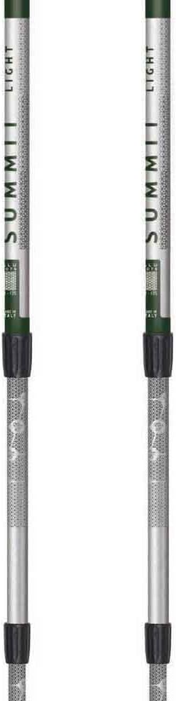 Masters Summit Light Trekking Pole - Shop  Trekking Poles at  Trekaline