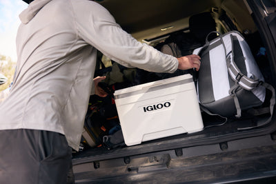 Igloo Latitude Marine Ultra Hard Cooler Box 25 Quart - Shop  Hard-sided Coolers at  Trekaline