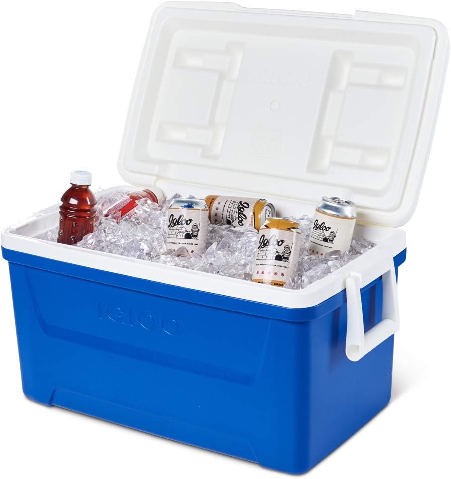 Igloo Laguna 48Qt / 45L Cooler Box - Shop  Hard-sided Coolers at  Trekaline