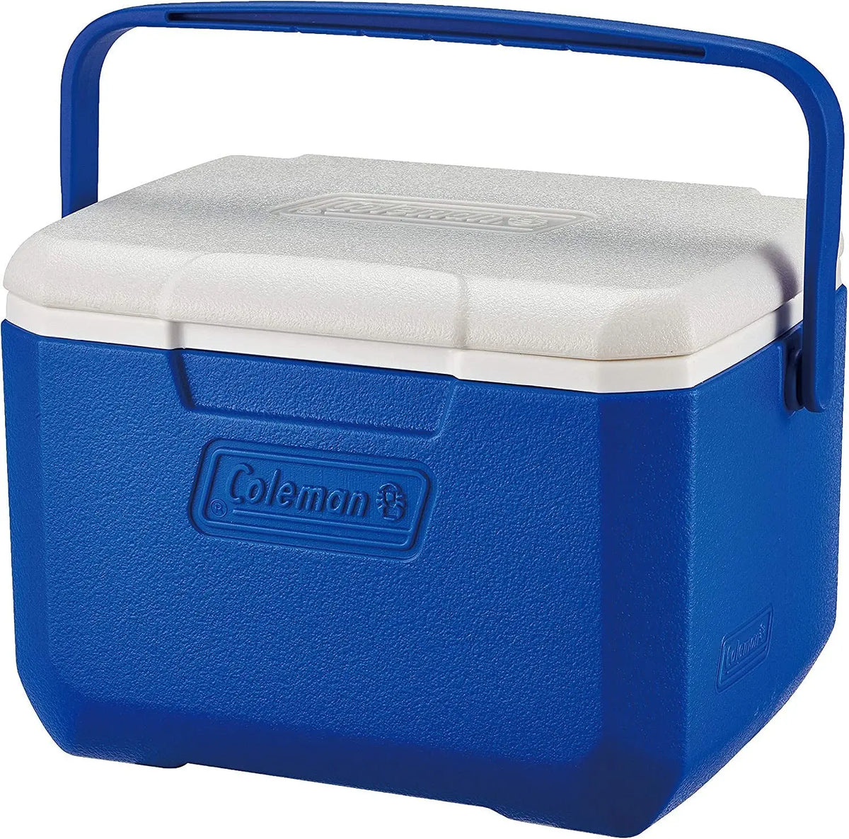 Coleman Performance 6 Personal Cooler 4.7L - Shop  Hard-sided Coolers at  Trekaline