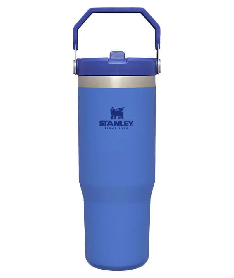 Stanley Classic IceFlow Flip Straw Tumbler - 30 oz / 890 ml