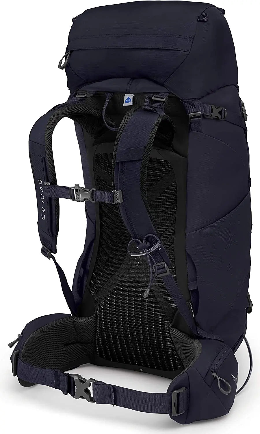 Osprey Kyte 66 Backpacking Pack - Women - Shop  Backpacking Packs at  Trekaline