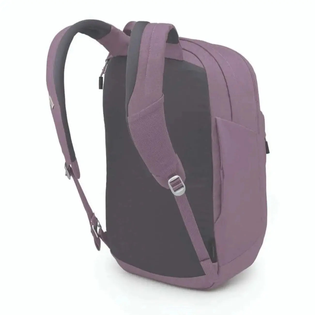 Osprey Arcane XL Daypack - Shop  Daypacks at  Trekaline