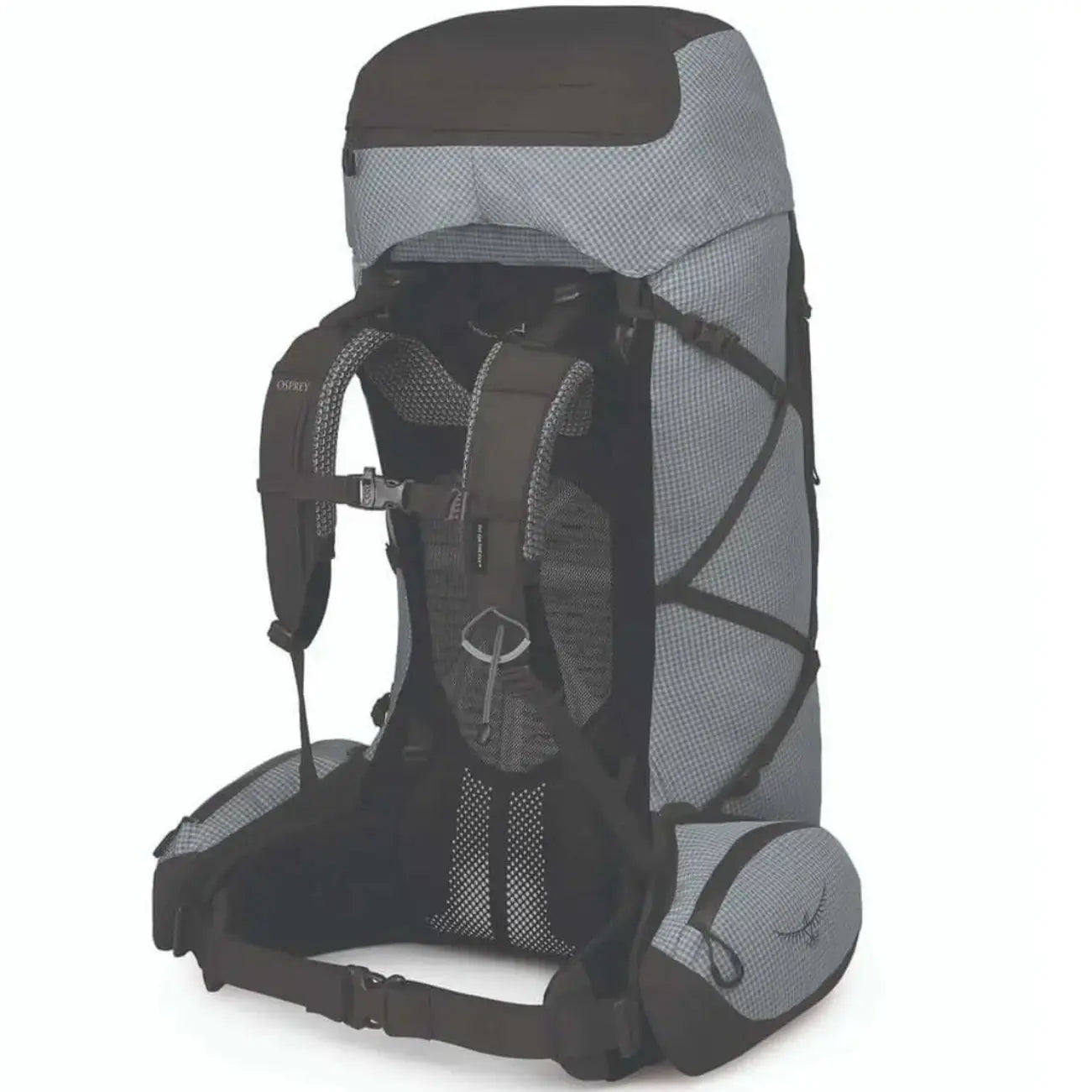 Osprey Aether Pro 75 Backpacking Pack - Shop  Backpacking Packs at  Trekaline