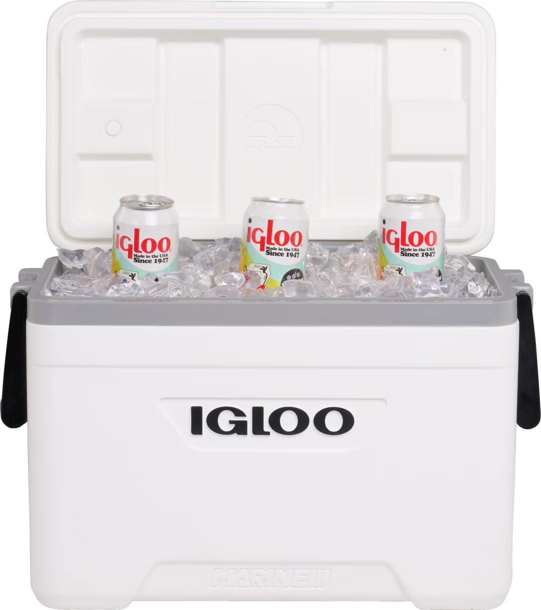 Igloo Latitude Marine Ultra Hard Cooler Box 25 Quart - Shop  Hard-sided Coolers at  Trekaline