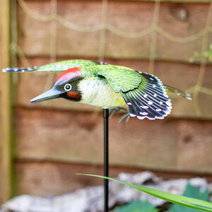 La Hacienda Inquisitive Woodpecker on Stake
