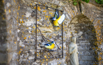 La Hacienda Tree Top Blue Tit Wall Art Large