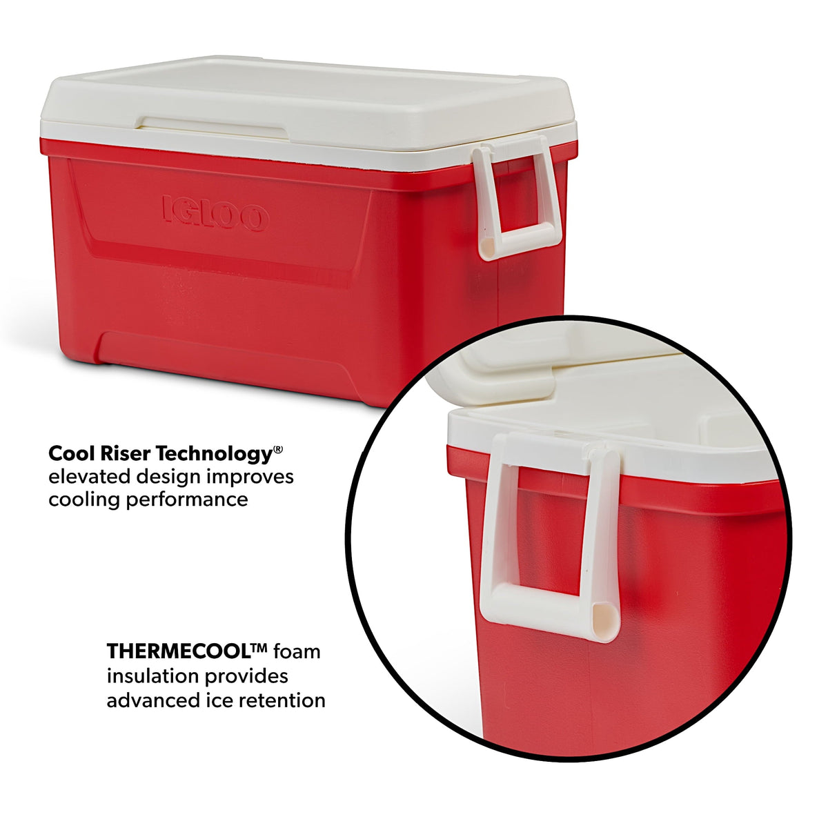 Igloo Laguna Hard Cooler Box 48 Quart - Shop  Hard-sided Coolers at  Trekaline