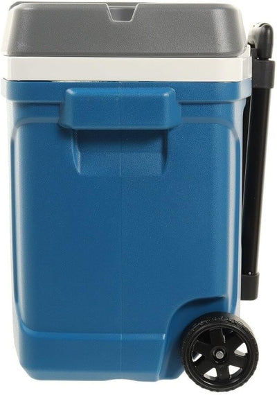 Igloo Latitude Roller Cooler 30 Quart - Shop  Hard-sided Coolers at  Trekaline