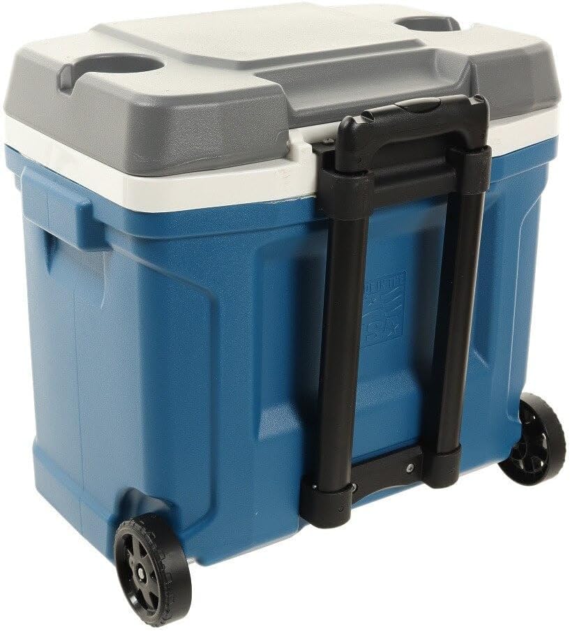 Igloo Latitude Roller Cooler 30 Quart - Shop  Hard-sided Coolers at  Trekaline