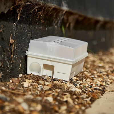 STV Big Cheese Ready-Baited Mouse Trap Kit