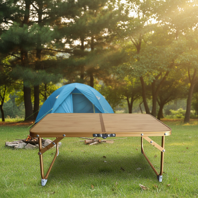 Procamp Small Aluminum Foldable Picnic Table - Shop  Camp Tables at  Trekaline