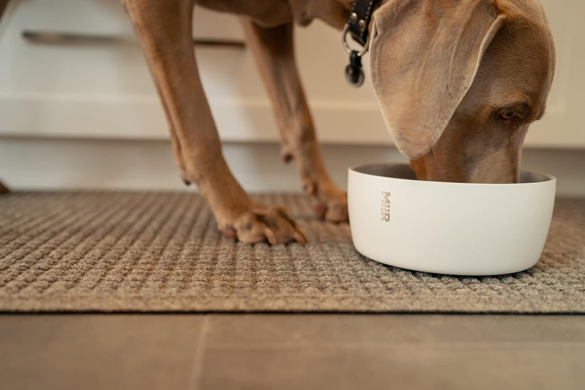 MiiR Dog Bowl 50 oz