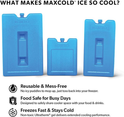 Igloo Maxcold Ice Medium Freeze Block - Shop  Cooler Accessories at  Trekaline