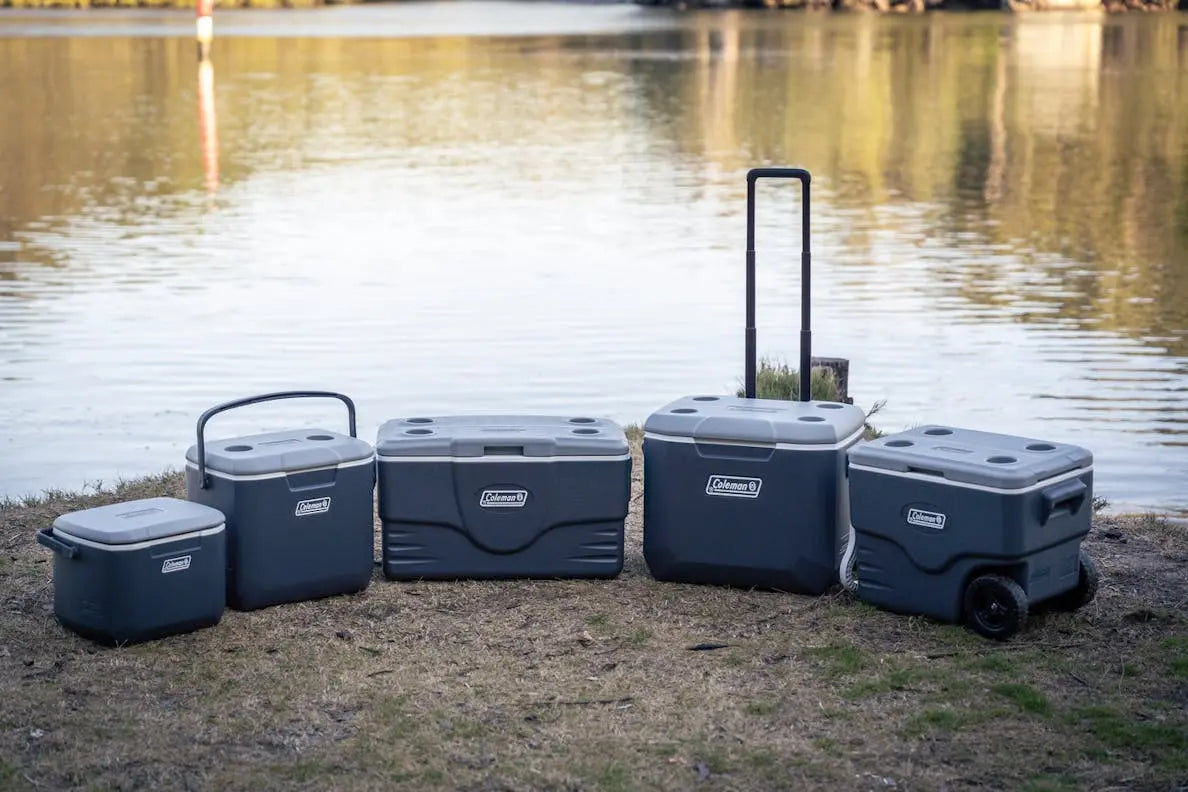 Coleman Daintree 28L Personal Hard Cooler - Shop  Hard-sided Coolers at  Trekaline