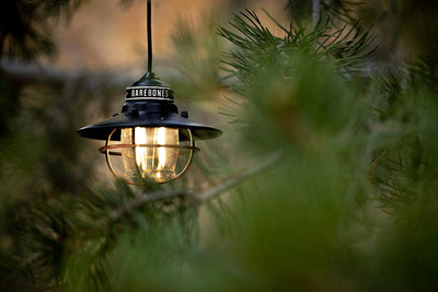 Barebones Edison Pendant Light - Shop  Electric Lanterns at  Trekaline