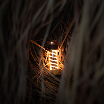 Barebones Edison Light Stick Lantern - Shop  Lightsticks at  Trekaline