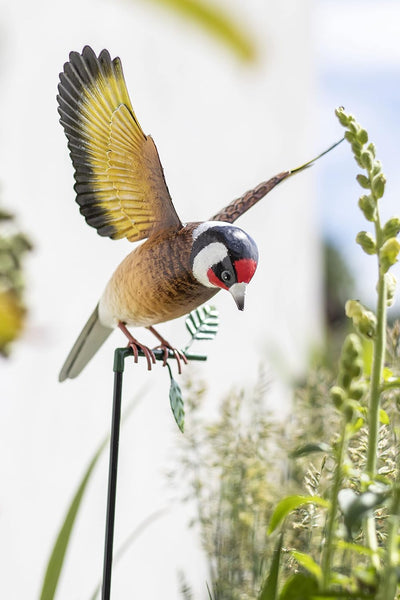 La Hacienda Hanging Goldfinch