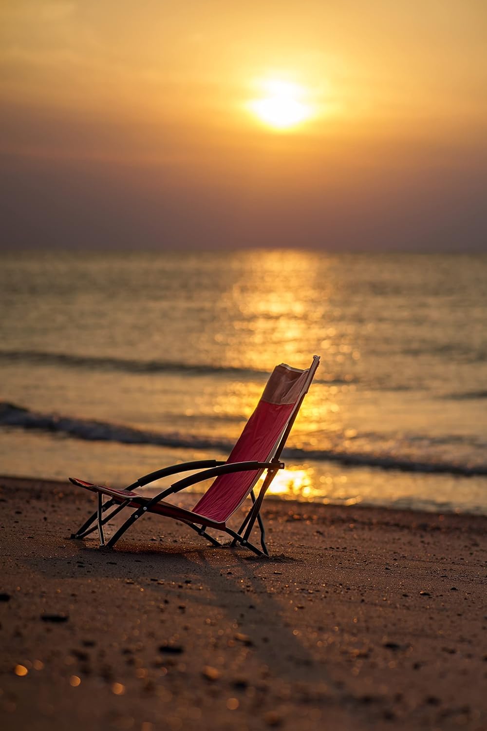 Procamp Low Beach Folding Chair - Shop  Camp Chairs at  Trekaline