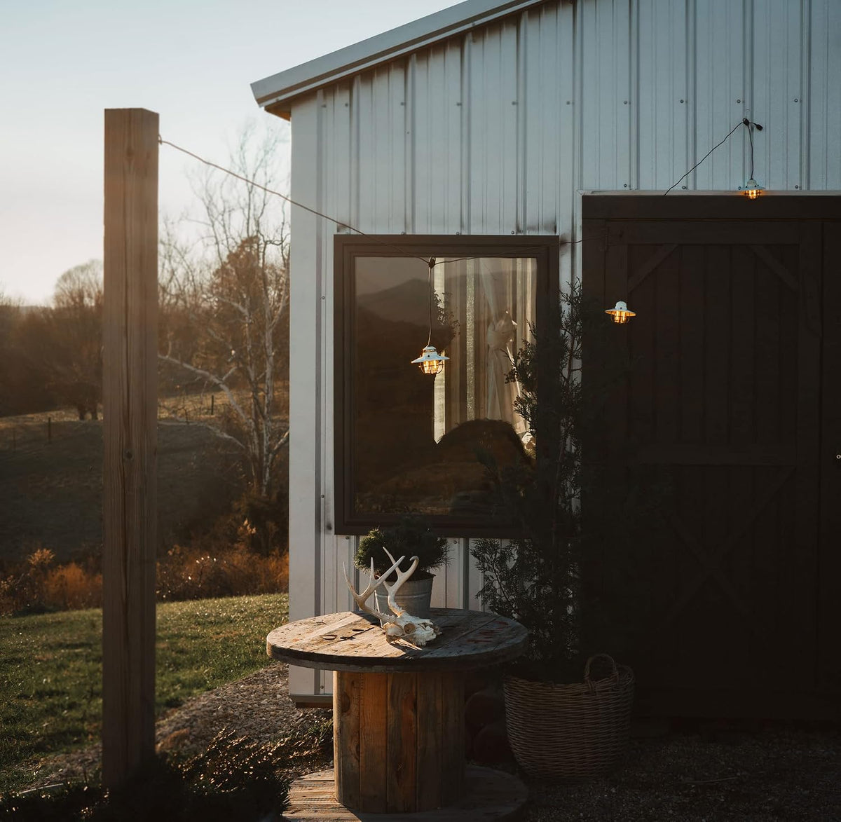 Barebones Edison Pendant Light - Shop  Electric Lanterns at  Trekaline
