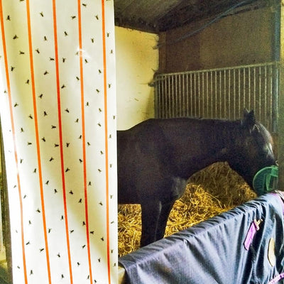 STV Zero In Ultra Power XL Sticky Fly Roll 10 m