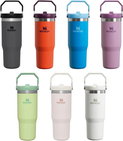 Stanley IceFlow Flip Straw Tumbler 30 oz - Shop  Tumblers at  Trekaline