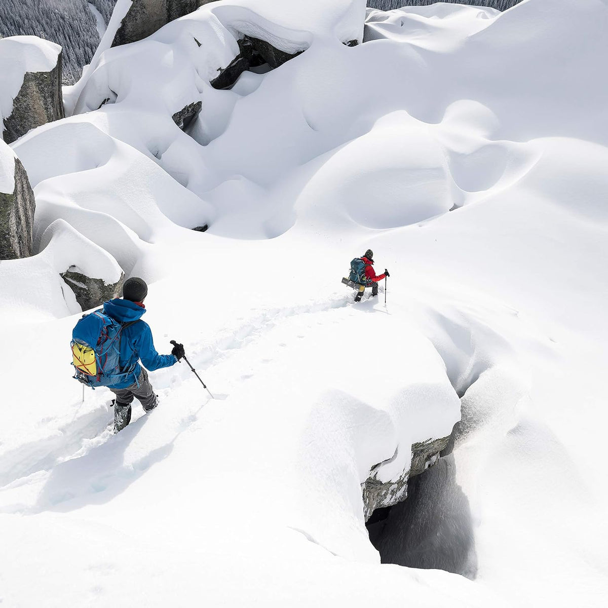 MSR DynaLock Trail Backcountry Poles - Shop  Ski Poles at  Trekaline