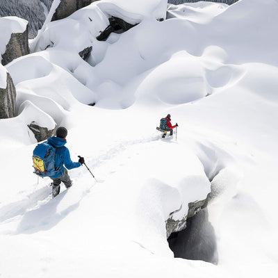 MSR DynaLock Trail Backcountry Poles - Shop  Ski Poles at  Trekaline