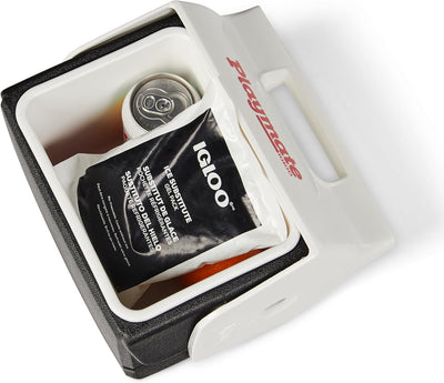 Igloo Maxcold Reusable Ice Gel Pack - Shop  Cooler Accessories at  Trekaline