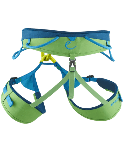 Edelrid Jay Sit Harness for Men, all-round climbing adjustable gear in vibrant green and blue.