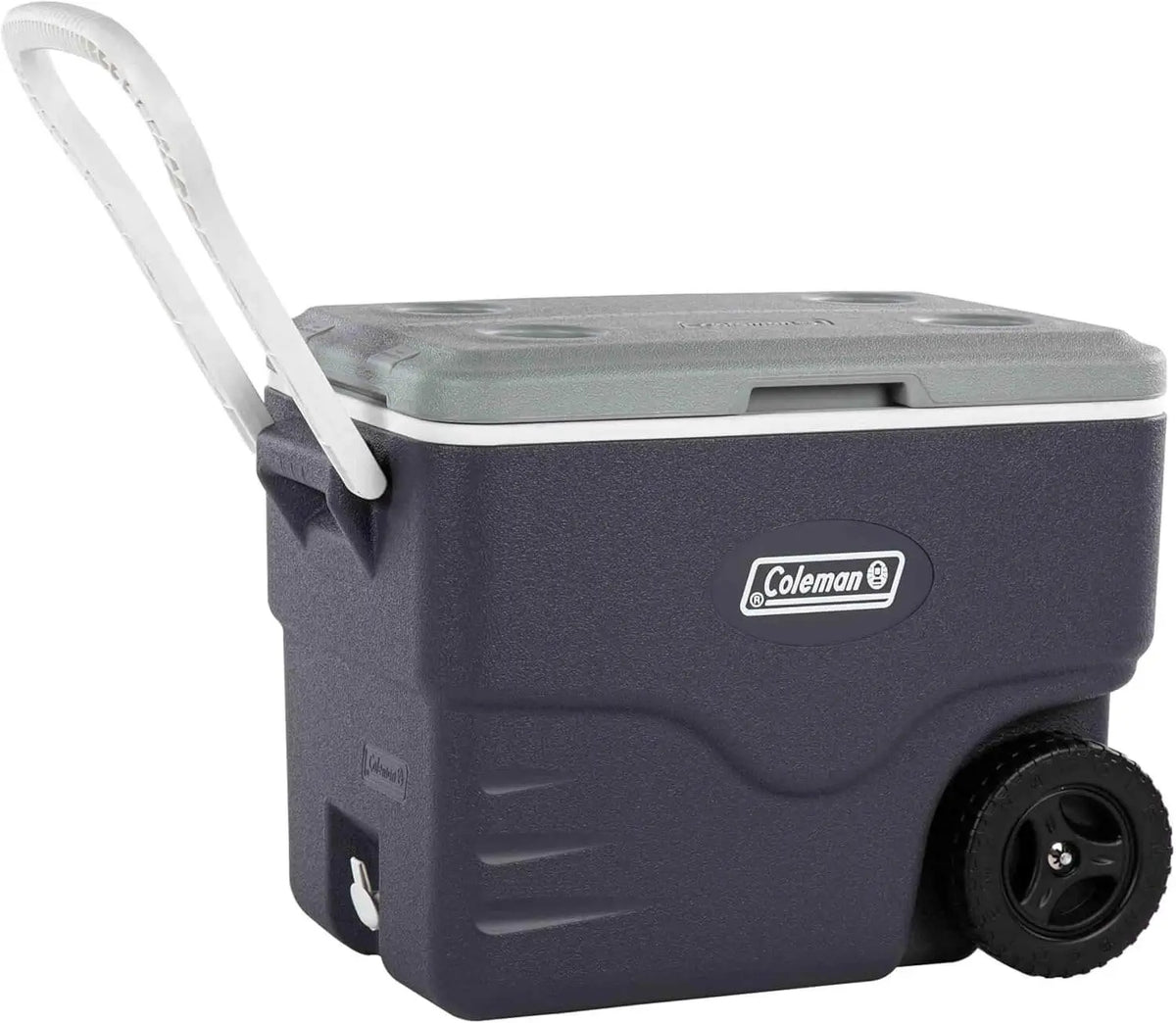 Coleman Daintree 38L Wheeled Hard Cooler - Shop  Hard-sided Coolers at  Trekaline