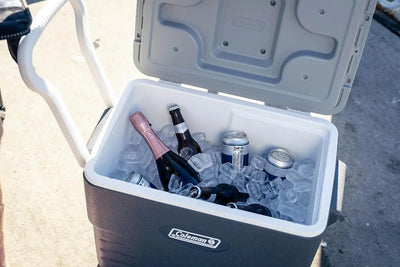 Coleman Daintree 38L Wheeled Hard Cooler - Shop  Hard-sided Coolers at  Trekaline