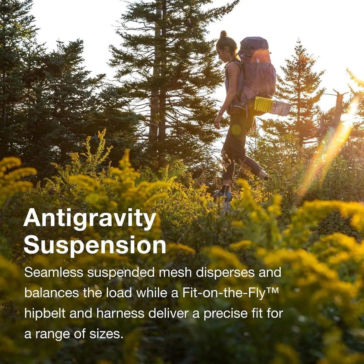 Osprey Aura AG 65 Backpacking Pack - Women - Shop  Backpacking Packs at  Trekaline