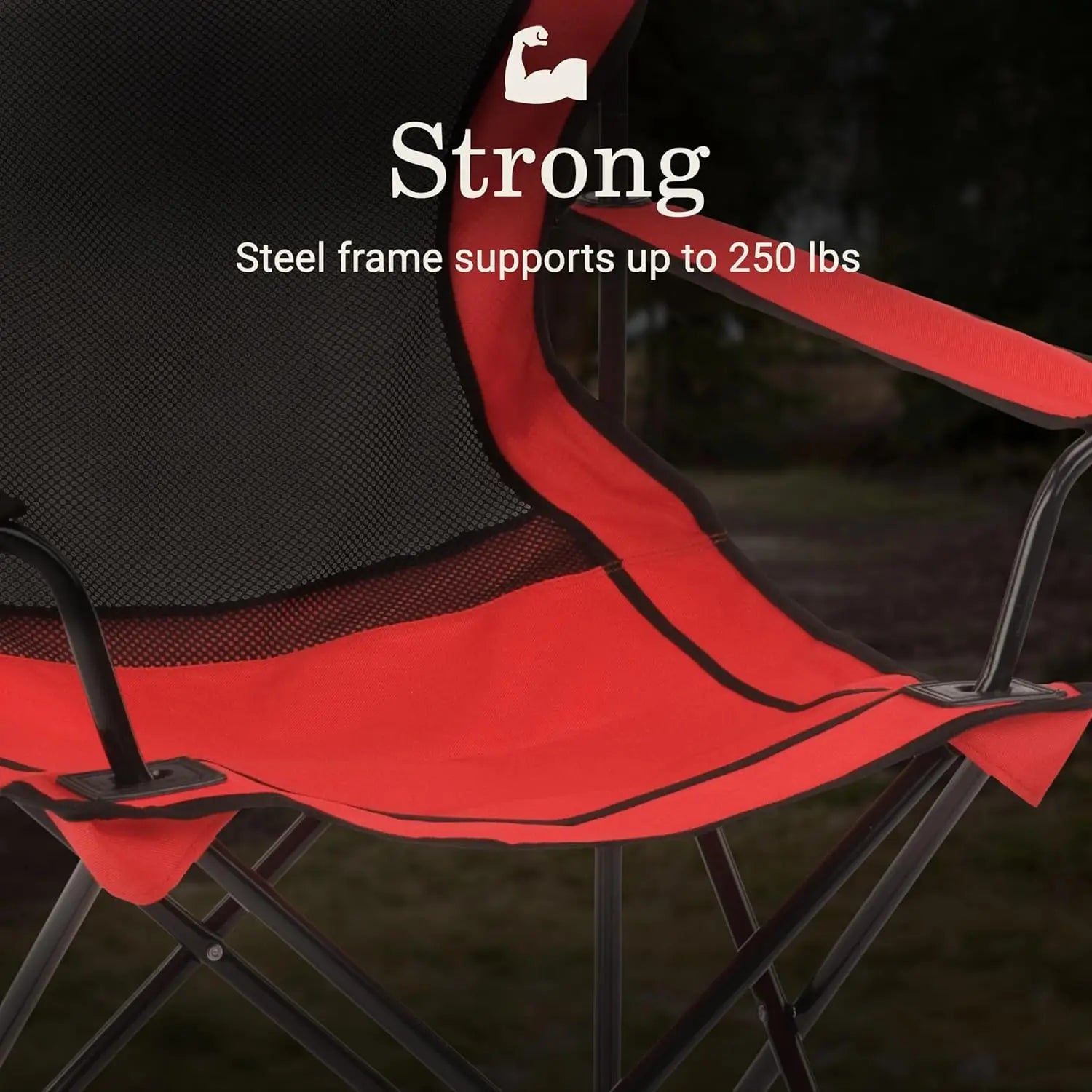 Coleman Broadband Mesh Quad Chair - Shop  Camp Chairs at  Trekaline