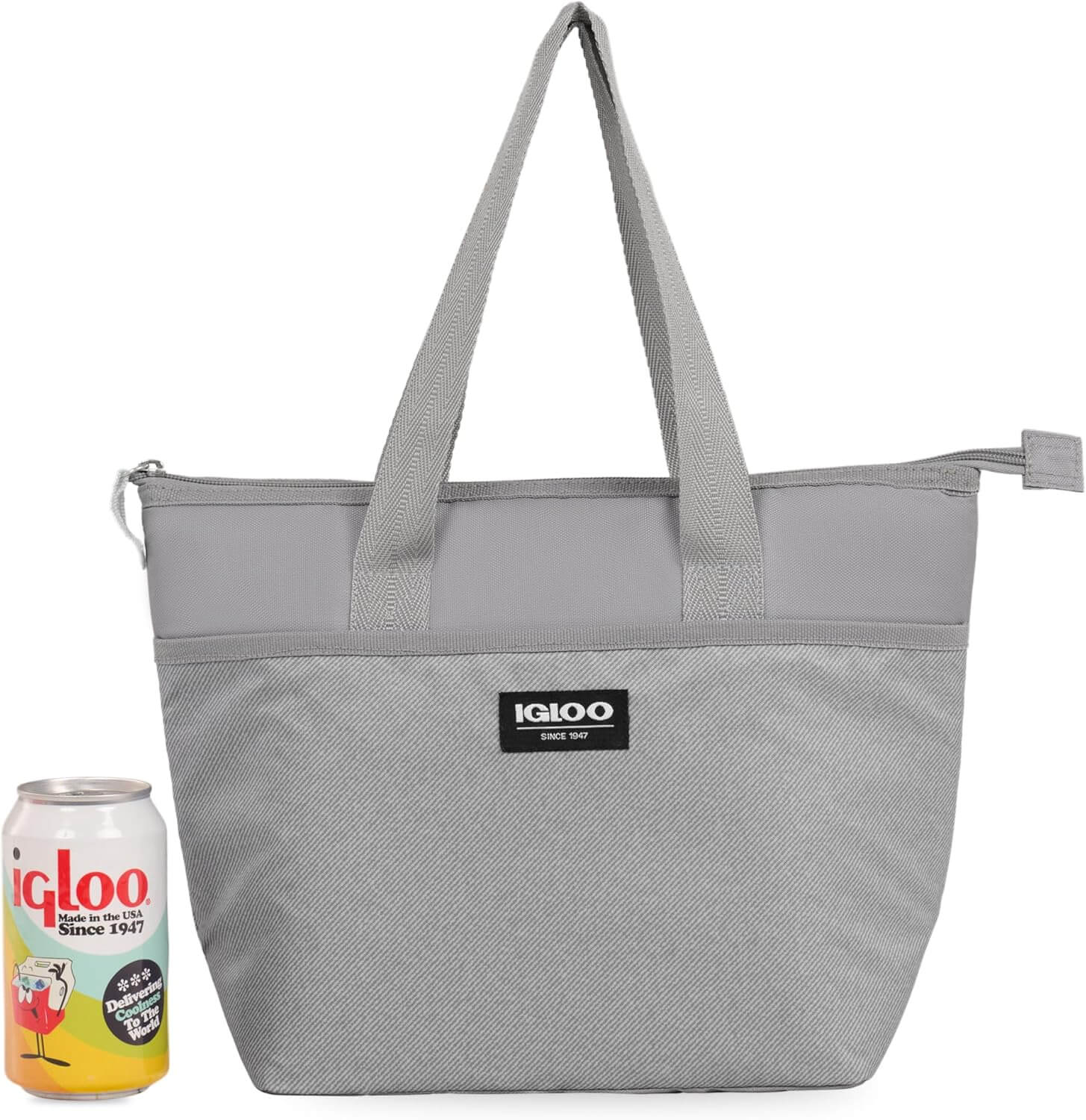Igloo Mini Essential Tote Cooler Bag 6 Quart - Shop  Soft-sided Coolers at  Trekaline