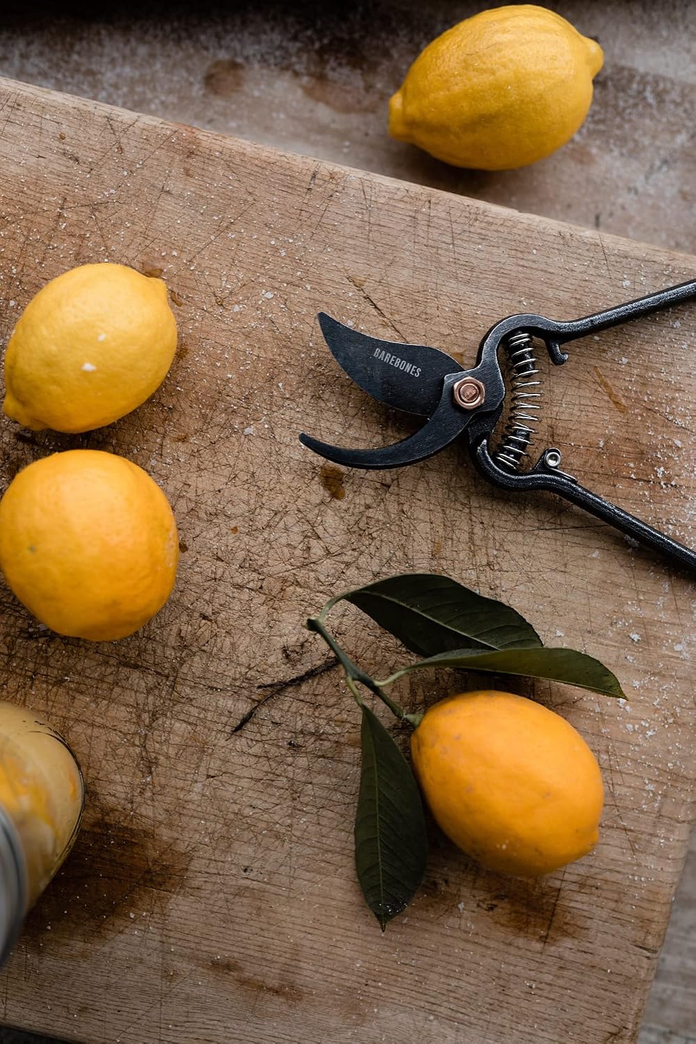 Barebones Japanese Style Garden Pruner - Shop  Garden Tools at  Trekaline