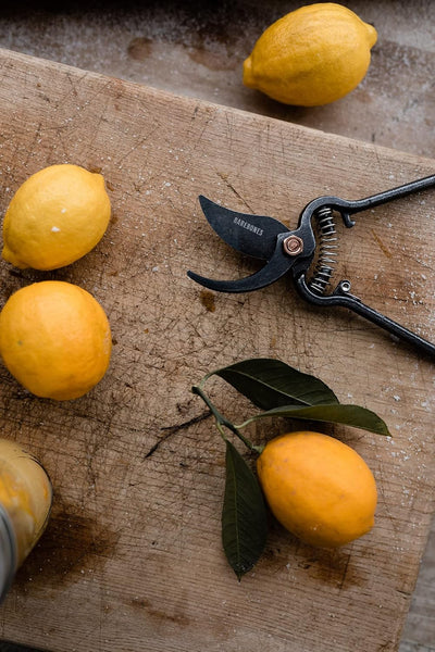 Barebones Japanese Style Garden Pruner - Shop  Garden Tools at  Trekaline
