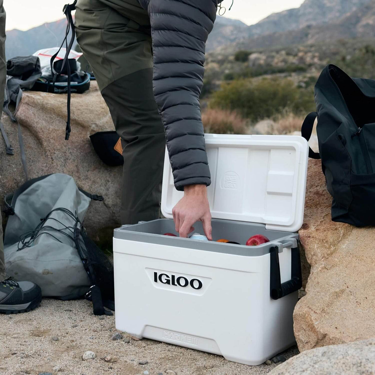 Igloo Marine 25Qt / 24L Cooler - Shop  Outdoor Coolers at  Trekaline