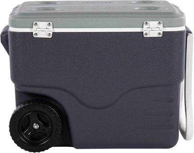 Coleman Daintree 38L Wheeled Hard Cooler - Shop  Hard-sided Coolers at  Trekaline