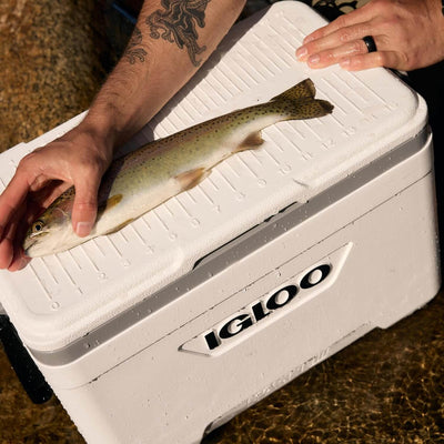 Igloo Marine 25Qt / 24L Cooler - Shop  Outdoor Coolers at  Trekaline