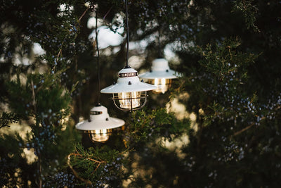 Barebones Edison Pendant Light - Shop  Electric Lanterns at  Trekaline
