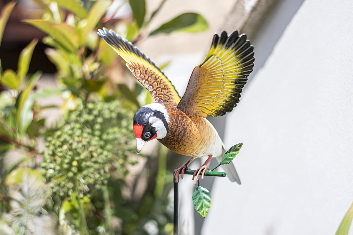 La Hacienda Hanging Goldfinch
